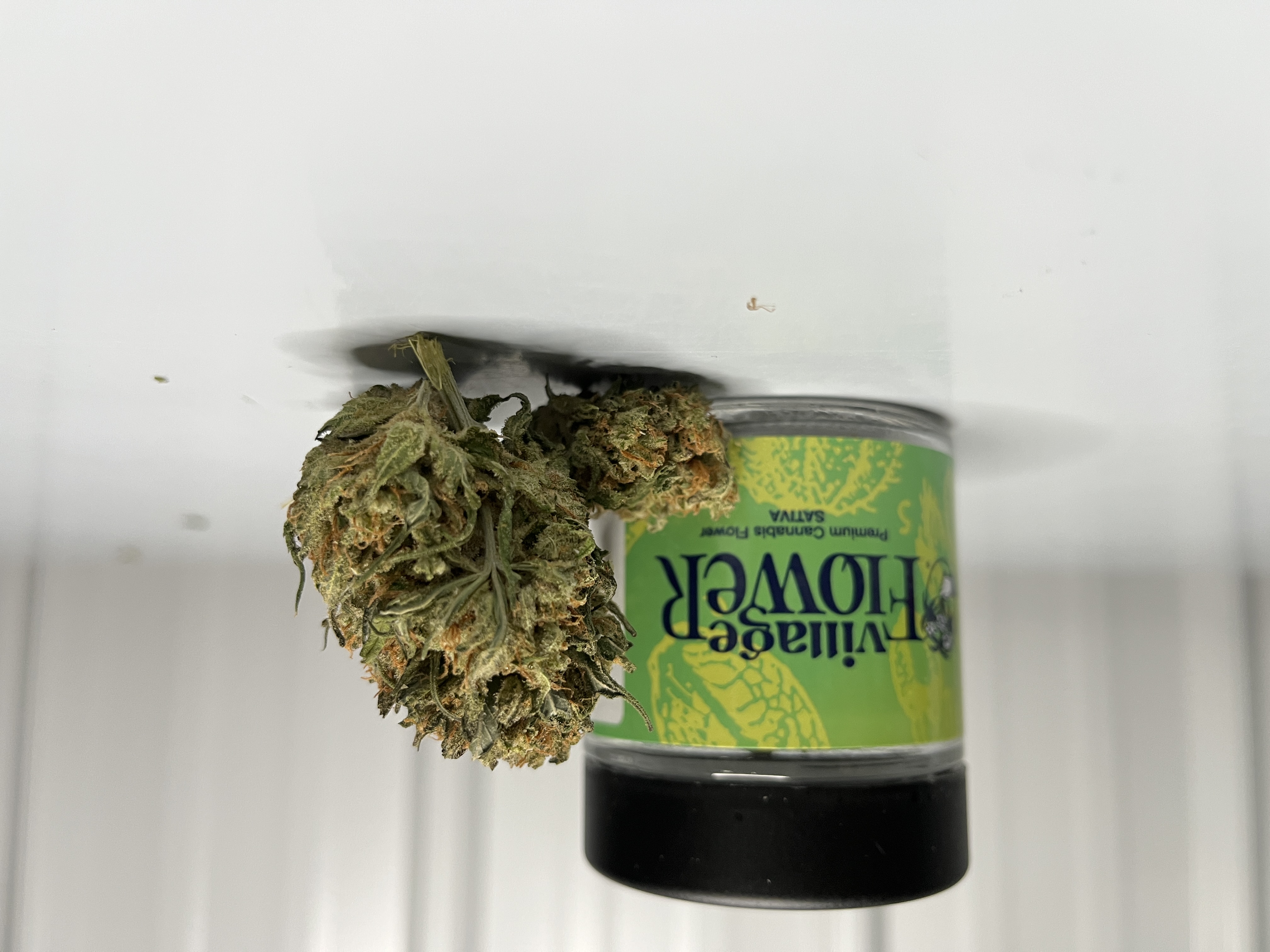 Lemon Haze Eighths